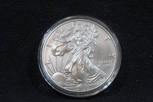 2020 US Silver Eagle 1 Ounce Coin