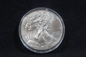 2019 US Silver Eagle 1 Ounce Coin