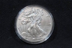 2020 US Silver Eagle 1 Ounce Coin