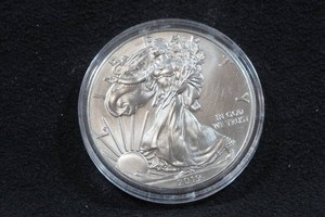 2019 US Silver Eagle 1 Ounce Coin