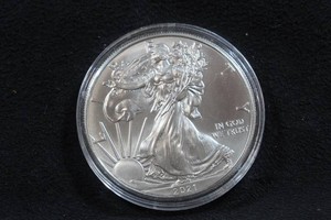 2021 US Silver Eagle 1 Ounce Coin