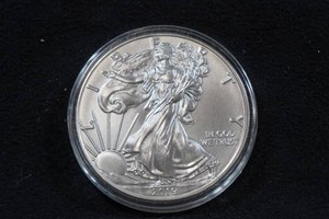 2019 US Silver Eagle 1 Ounce Coin