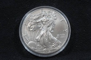 2016 US Silver Eagle 1 Ounce Coin