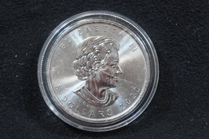 2020 Canada Silver Maple Leaf 1 Ounce Coin