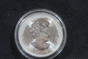 2017 Canada Silver Lynx 1 Ounce Coin