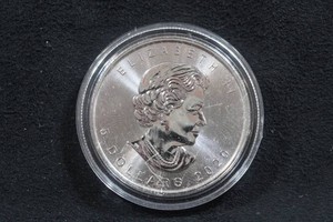 2020 Canada Silver Maple Leaf 1 Ounce Coin