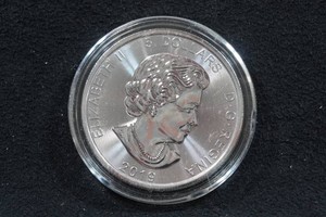 2019 Canada Silver Bear 1 Ounce Coin