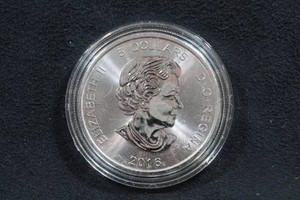 2016 Canada Silver Cougar 1 Ounce Coin