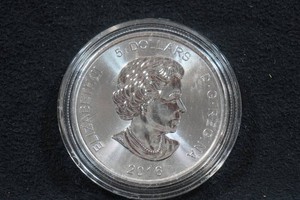 2016 Canada Silver Cougar 1 Ounce Coin