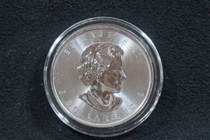 2019 Canada Silver Maple Leaf 1 Ounce Coin
