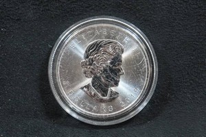 2019 Canada Silver Maple Leaf 1 Ounce Coin