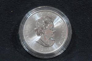 2016 Canada Silver Cougar 1 Ounce Coin