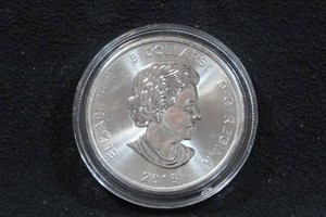 2016 Canada Silver Cougar 1 Ounce Coin