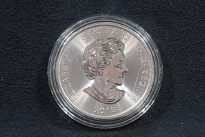 2016 Canada Silver Cougar 1 Ounce Coin