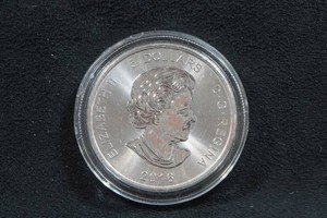 2016 Canada Silver Cougar 1 Ounce Coin