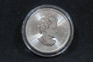 2016 Canada Silver Cougar 1 Ounce Coin