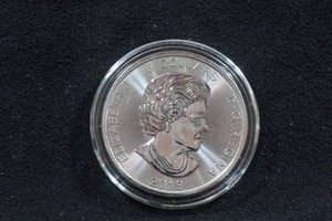2019 Canada Silver Bear 1 Ounce Coin