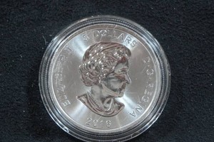 2016 Canada Silver Cougar 1 Ounce Coin