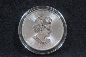 2019 Canada Silver Maple Leaf 1 Ounce Coin
