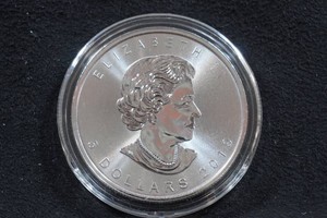 2019 Canada Silver Maple Leaf 1 Ounce Coin