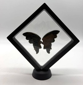 Carved Stone Butterfly Wings in Plastic Display