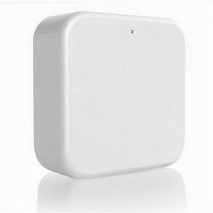 $26 AceFox G2 Wi-Fi Gateway for TT LockDD Lock, Only Works with 2.4GHz