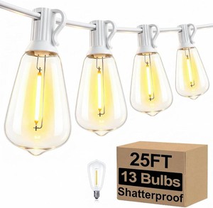 $25 25FT Outdoor String Lights 13 Bulbs, Waterproof Patio Lights