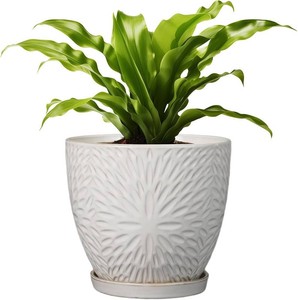 $47 G EPGardening 8 Inch Ceramic Plant Pot with Drainage Hole and Saucer, White