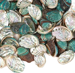 JQAQJU 60pcs Small Abalone Shell 1.2-1.8 inch, Natural Abalone Shells Bowl