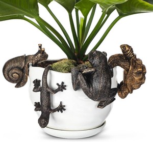 $26 4 Pcs Planter Pot Huggers Bulk Frog Gecko Snail Tortoise Vase Decor