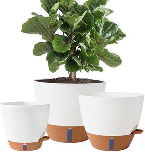 $30 81012 Inch Self Watering Pots for IndoorOutdoor Plants