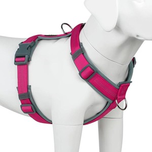 Plutus Pet No Pull Dog Harness, Adjustable Nylon Harness with Soft Padding XS