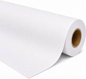 Premium Polyester Matte Canvas Roll, Quick Dry, Wide Format Inkjet Printer Compatible, Perfect for Fine Art, Photography, Gicl e Printing, Archival Quality Prints. (24x100 290gsm Polyester)