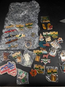 Vintage Lions Club Minnesota Souvenir Pin Mixed Lot