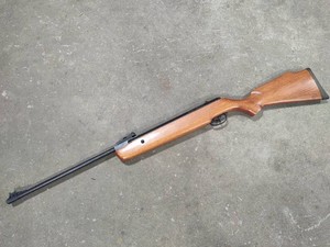 Crosman Quest 1000 Air Rifle
