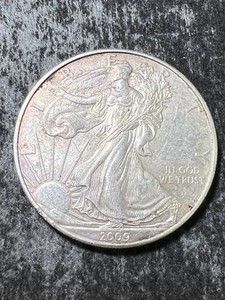 2009 AMERICAN SILVER EAGLE 1 TROY OZ .999 FINE SILVER