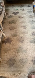 1 Neutral Floral Pattern Area Rug With Fringe Approx 95in Long