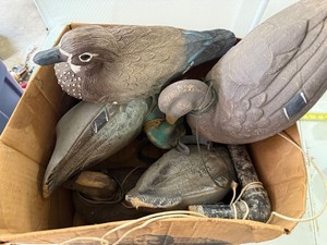 Vintage Duck Hunting Decoy Lot Mixed Waterfowl Goose Wood Duck