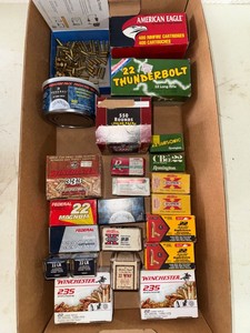 Mixed .22 Rimfire Ammunition Lot Federal Remington Winchester Aguila