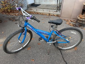 Trek 220 Mountain Track Youth Bicycle Cro-Moly MonoTube 20in