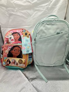 Disney Moana 2 Backpack & Laptop Backpack Mixed Lot
