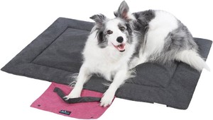 $40 Outdoor Foldable Dog Mat Durable Teflon-Coated Oxford Material Waterproof Thin Dog pad Travel-Friendly Machine Washable Design for CampingCar (Dark Grey, Large (51.2  36.6  2 in))