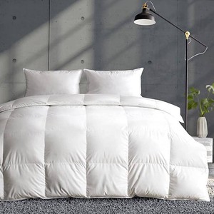 $109 APSMILE Lightweight Duvet Insert Queen,Summer Down Feather Fibers Comforter