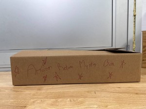 Amazon Returns Mystery Box ($250 Value) (Box Size 28x12x6)