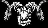 RAM Auctions 