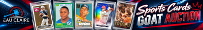 online-auctions
