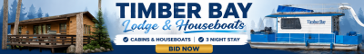 online-auctions