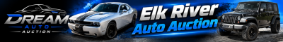 online-auctions